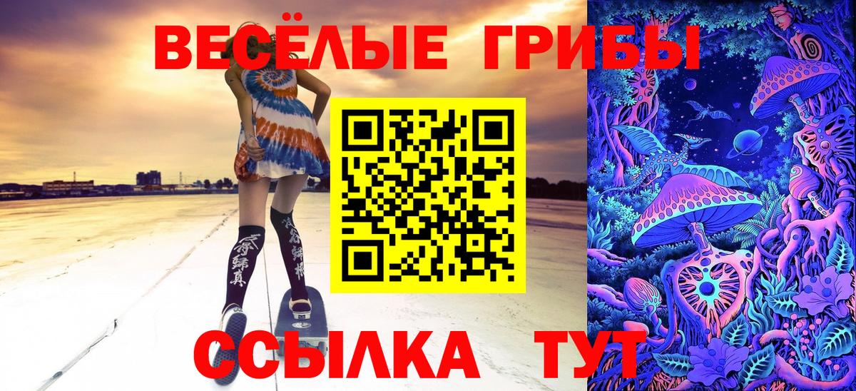 Галлюциногенные грибы мухоморы Новошахтинск