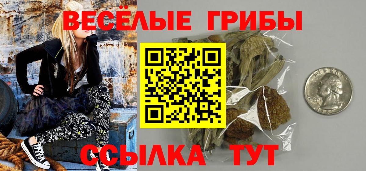 Псилоцибиновые грибы Magic Shrooms  Галлюциногенные грибы MAGIC MUSHROOMS  Вход с VPN  Новошахтинск 